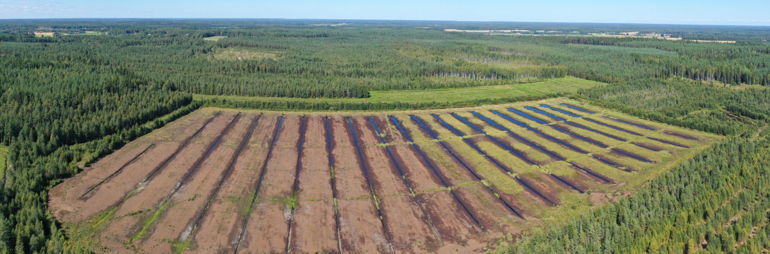 Palauttamassa turvetuotannon tuhoamaa elinympäristöä  