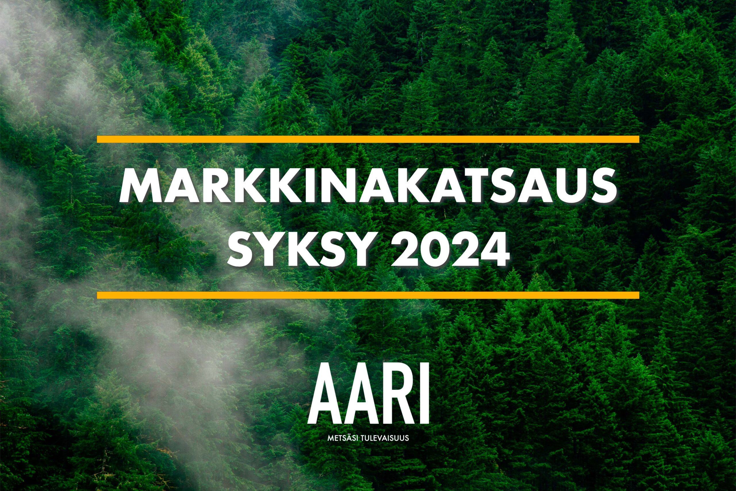 Markkinakatsaus Syksy 2024