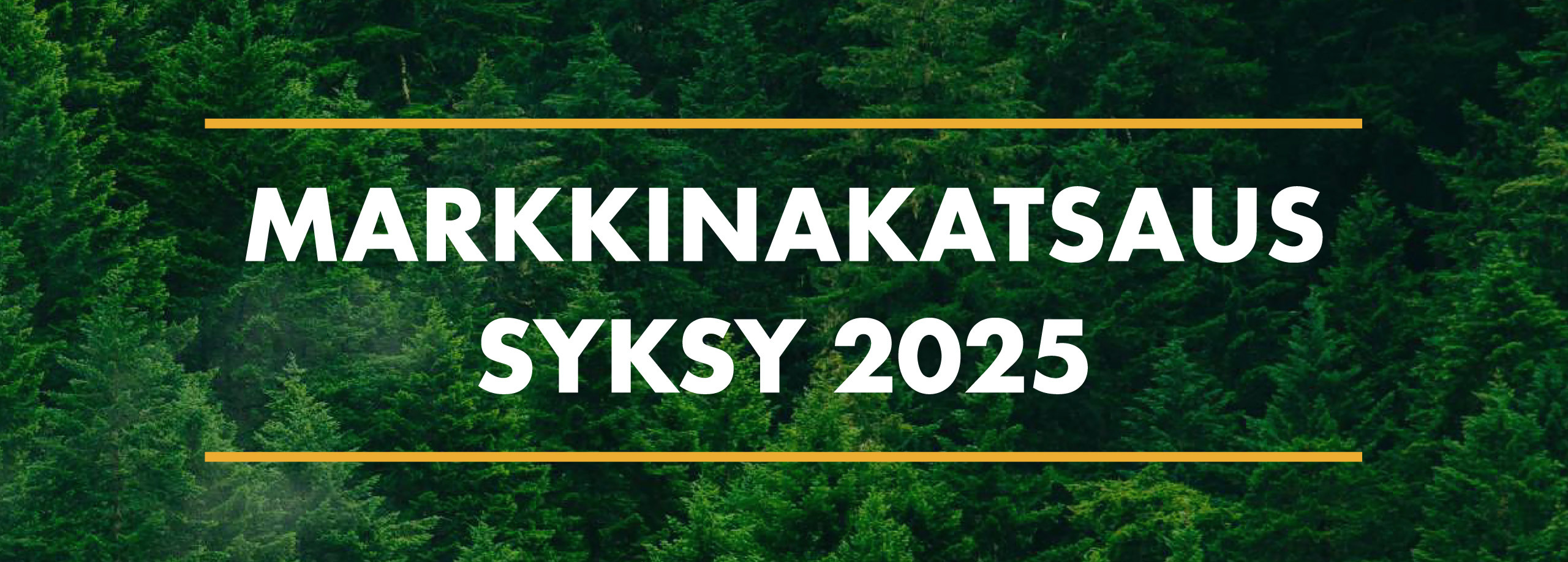 Markkinakatsaus syksy 2025