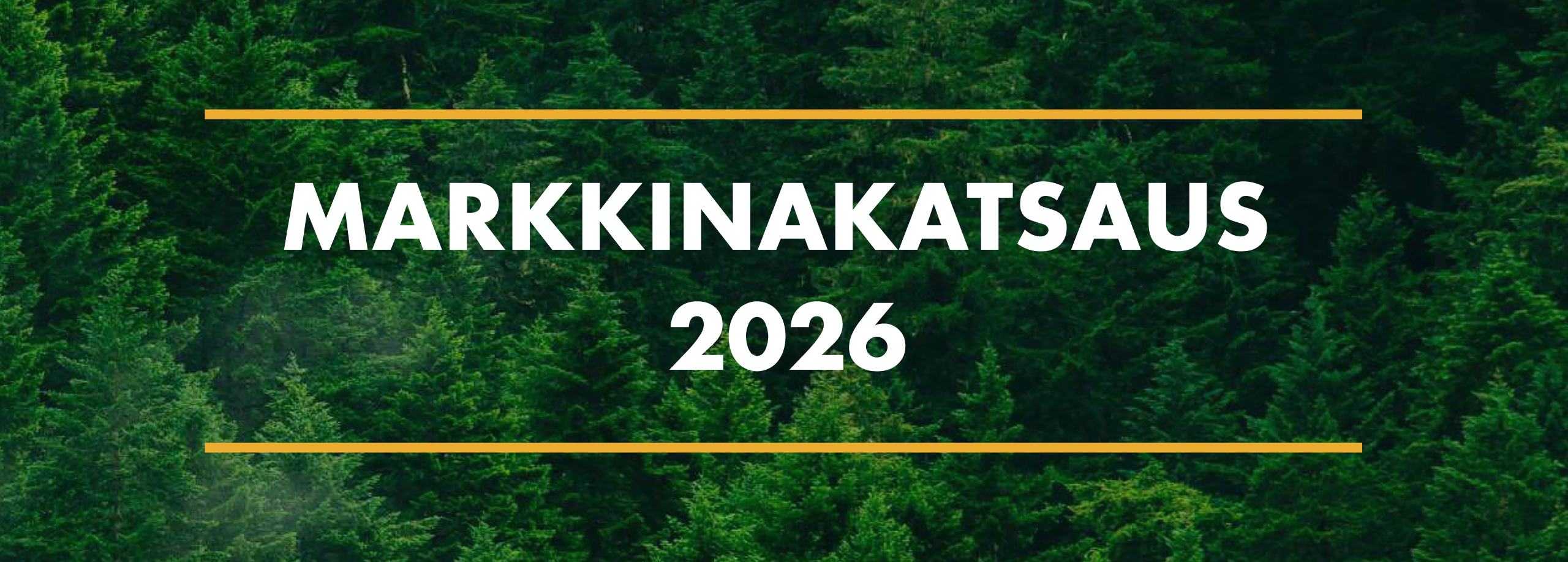 Markkinakatsaus 2026