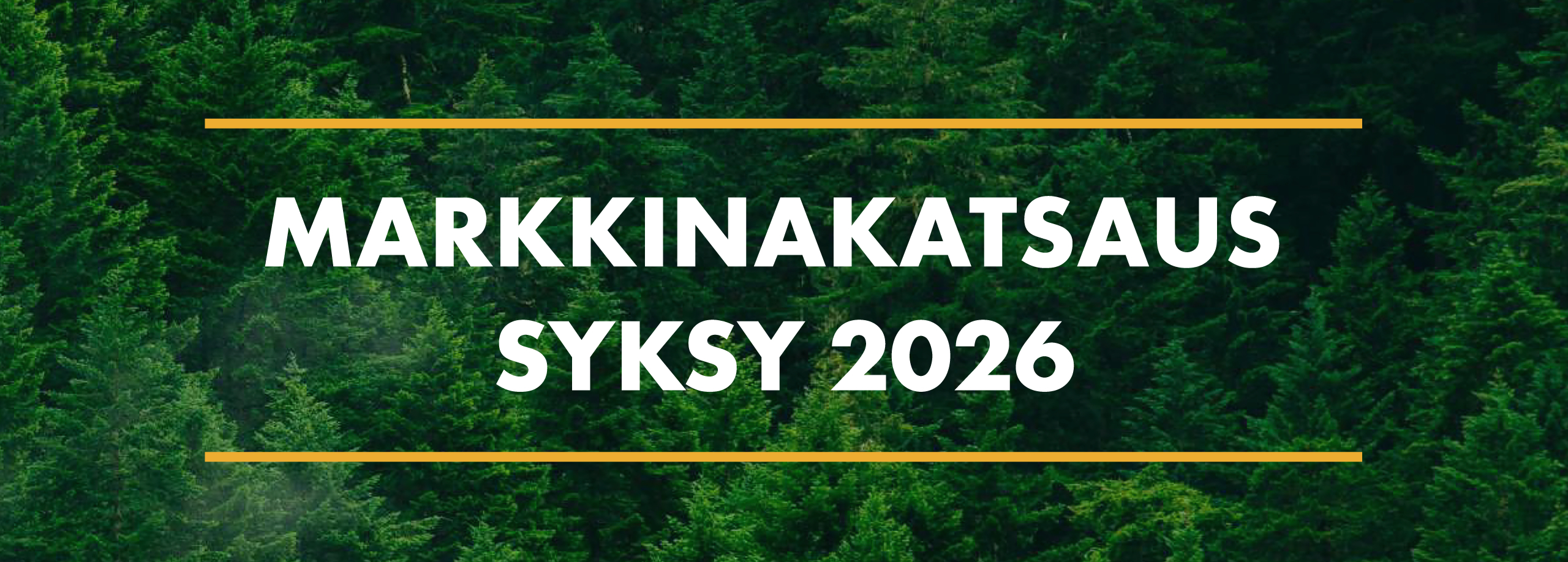 Globaalin havupuun markkina kiristyy – kysyntä kasvaa tarjontaa nopeammin 